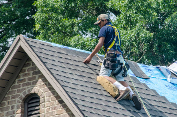Quick and Trustworthy Emergency Roof Repair Services in Tucson, AZ